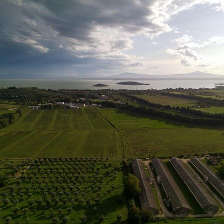 Tra Lago E Collina Passignano sul Trasimeno Eksteriør bilde