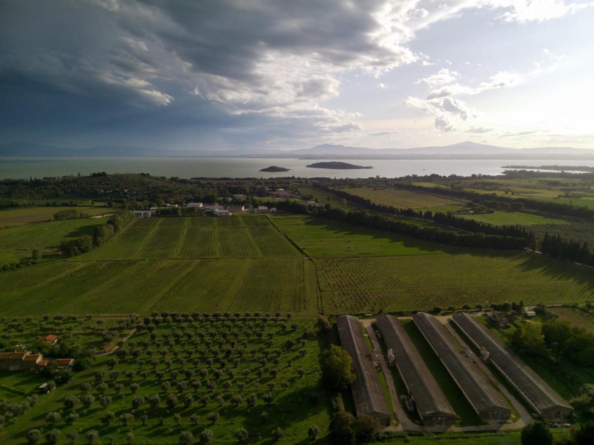 Tra Lago E Collina Passignano sul Trasimeno Eksteriør bilde